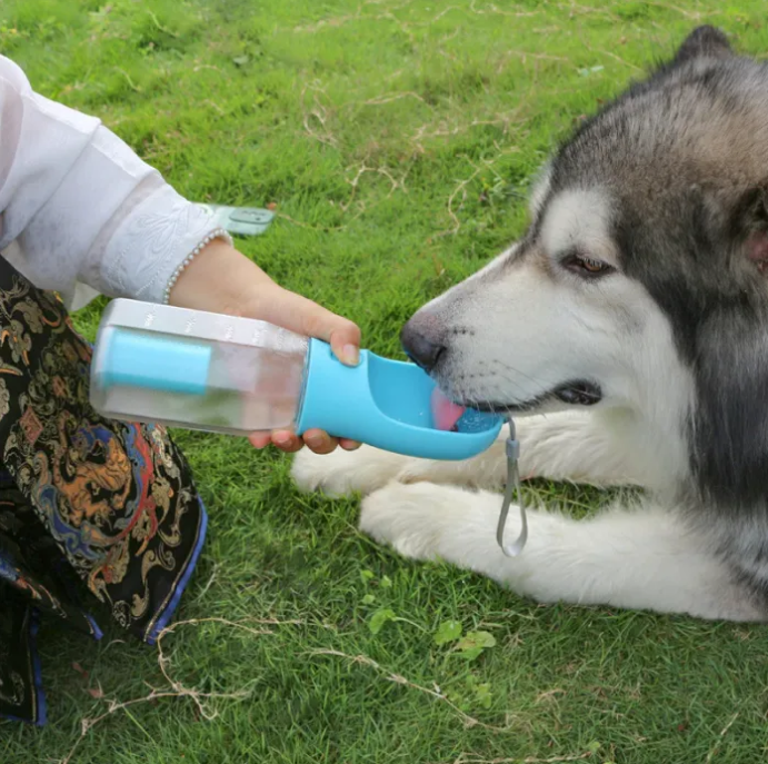 2-in-1 Pet Feeder