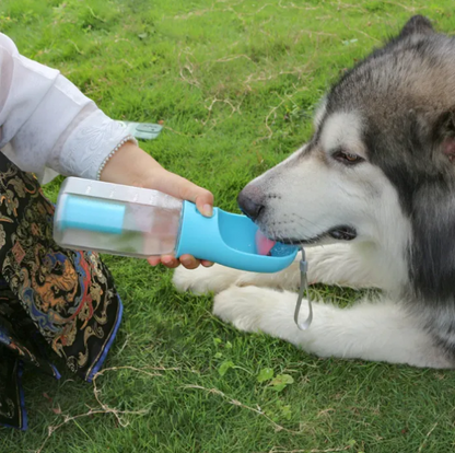 2-in-1 Pet Feeder