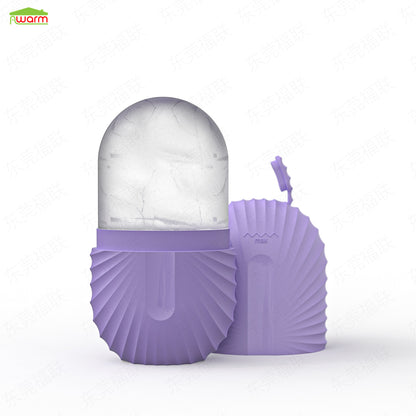 Facial Ice Roller