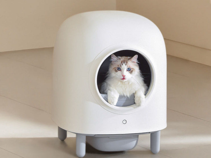 Smart Cat Litter Box