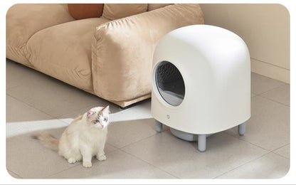 Smart Cat Litter Box