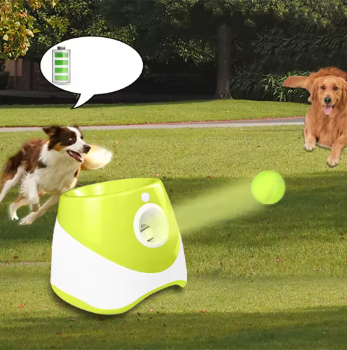 Automatic Dog Ball Launcher