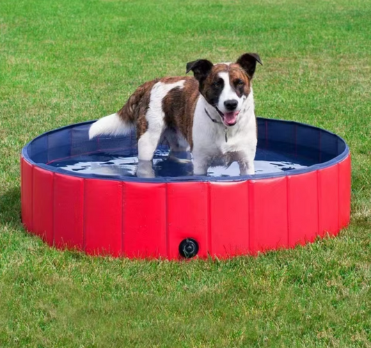 Foldable Pet Bathtub