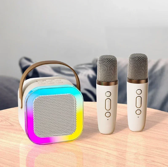 Portable Mini Karaoke